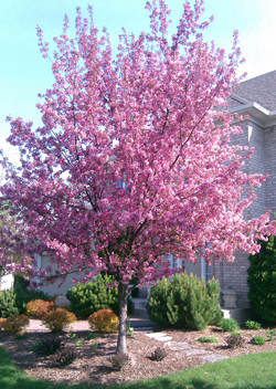 The spoils of spring